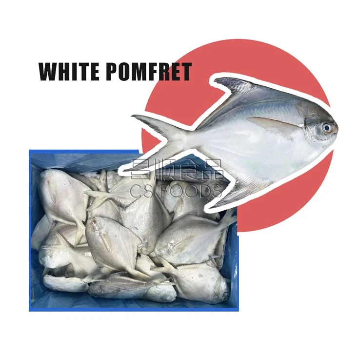 Land Frozen Silver Pomfret